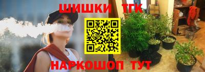 Альфа ПВП Обь