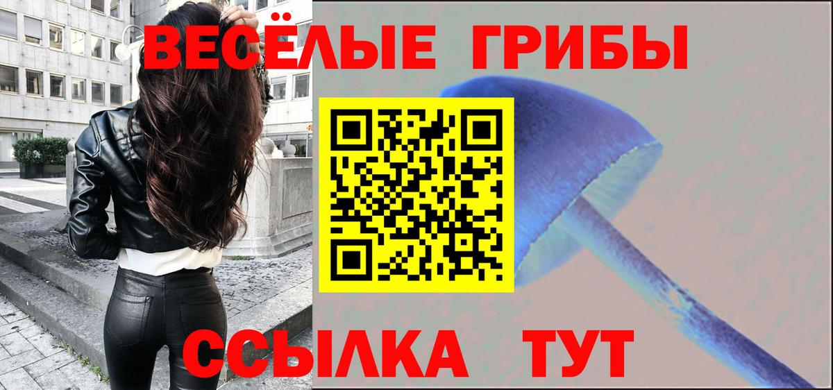 Рыбинск  Псилоцибиновые грибы Psilocybine cubensis  Вход с VPN 