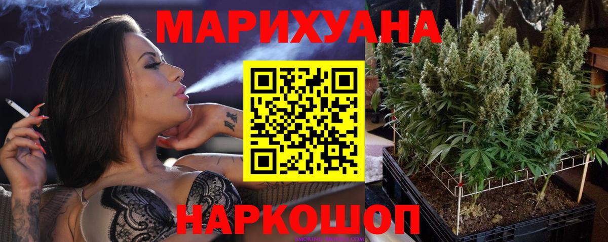 Конопля сатива Рыбинск